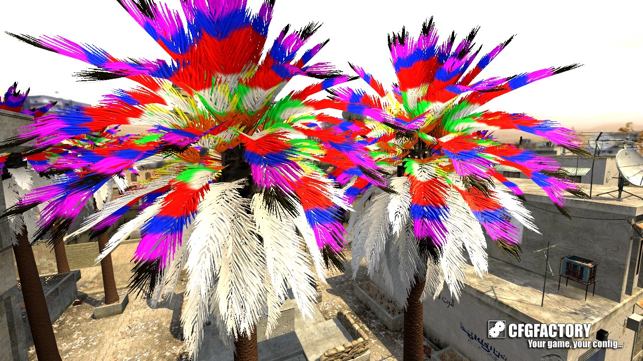 Rainbow Palms
