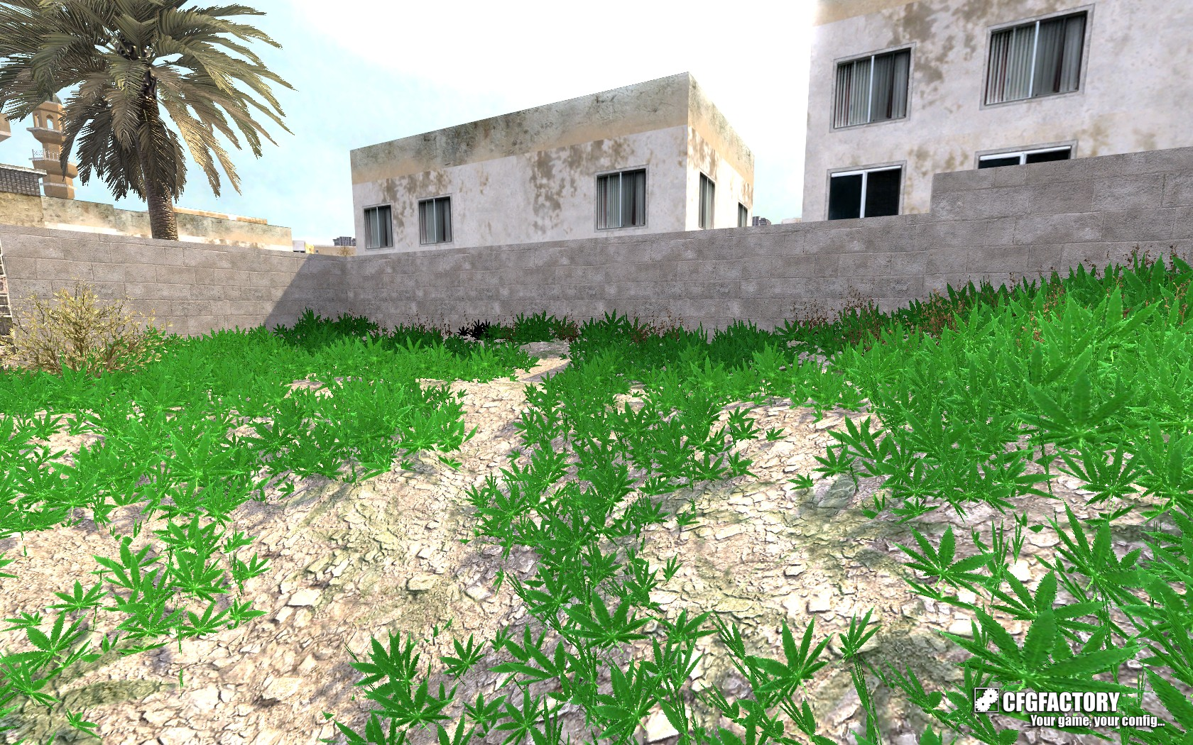 Weed Grass