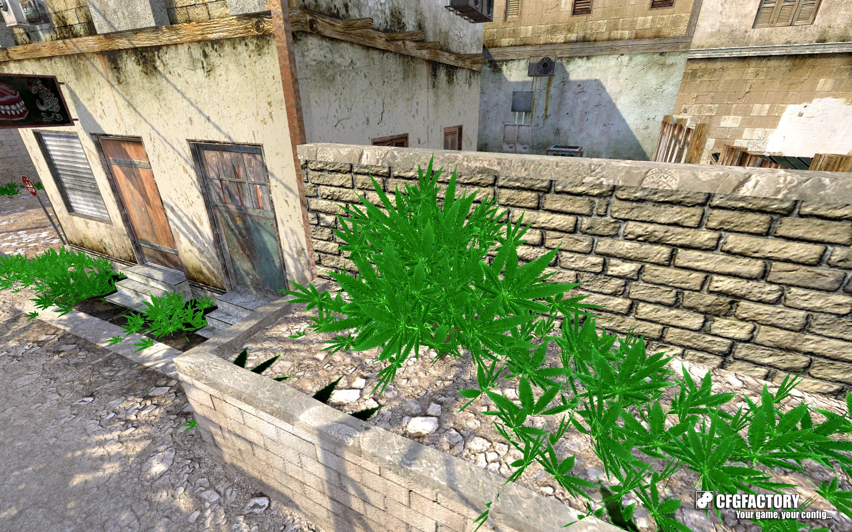 Weed Bush