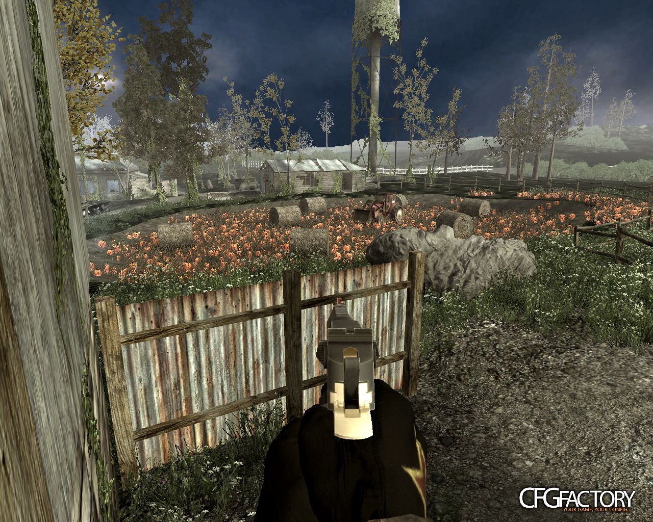Pumpkin grass