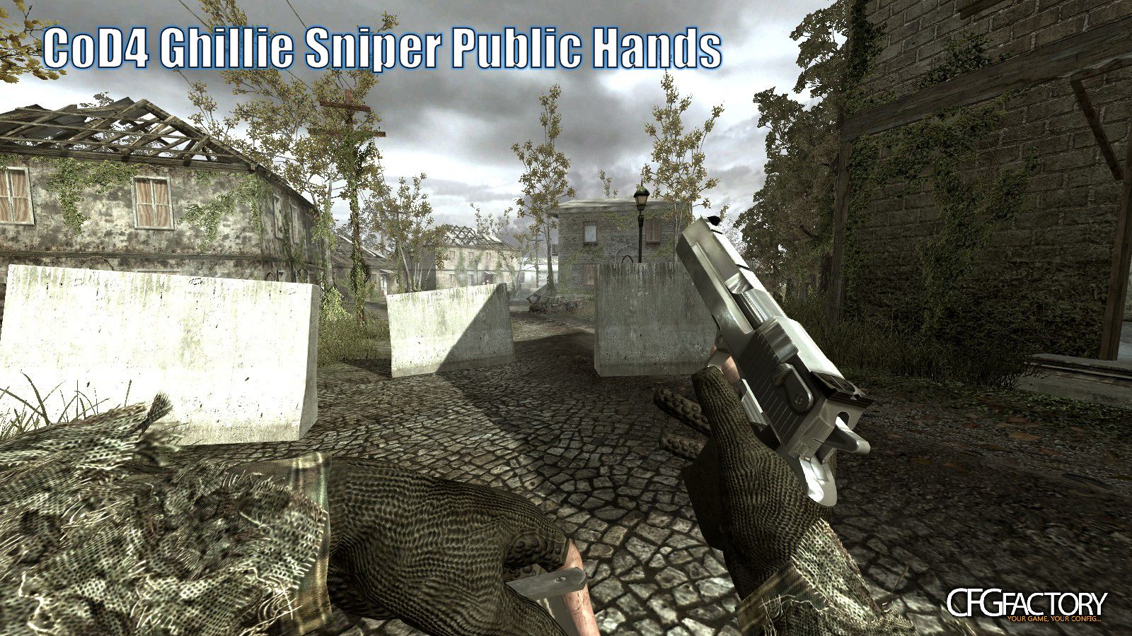 MW2 Public Hands