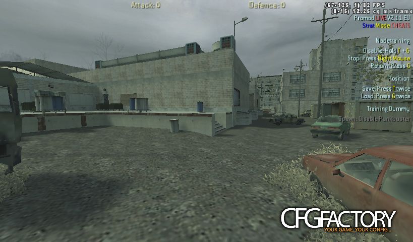 CoD4 nice fps config