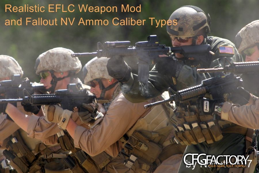Realistic EFLC Weapon Mod and FNV Ammo Caliber Typ