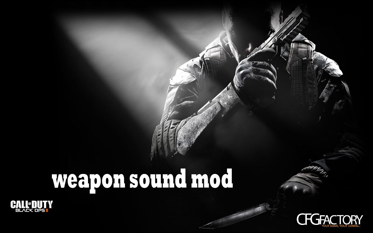 Call of Duty Black Ops 2 weapon sound