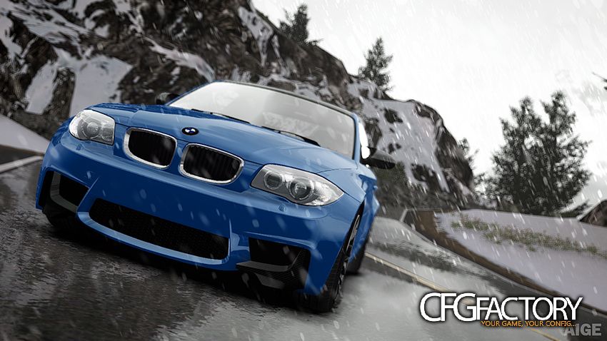 BMW 1M  Carbon fibre Paintjob