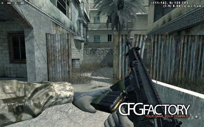 bo2 fal osw