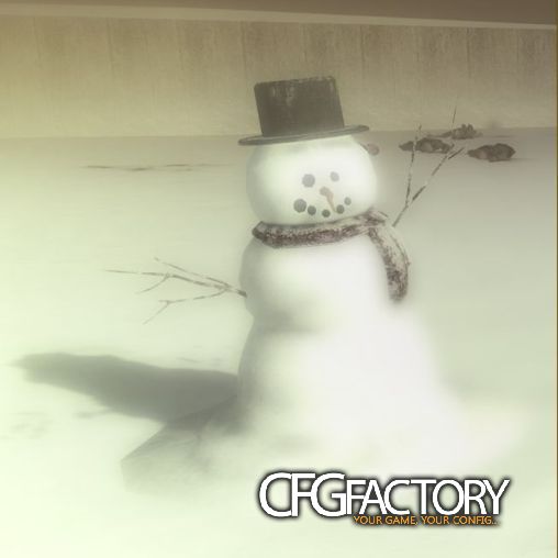 BO2 Snowman + hat