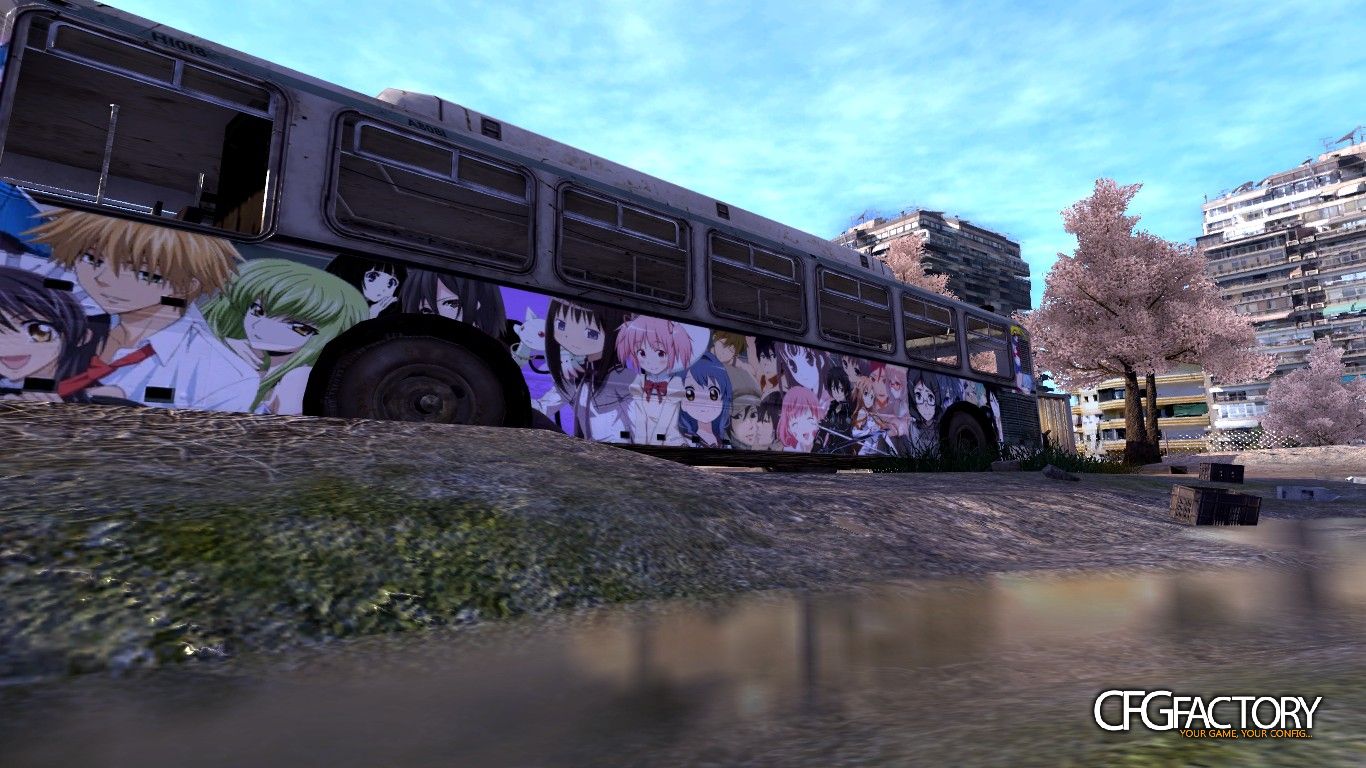 Sakura Trees