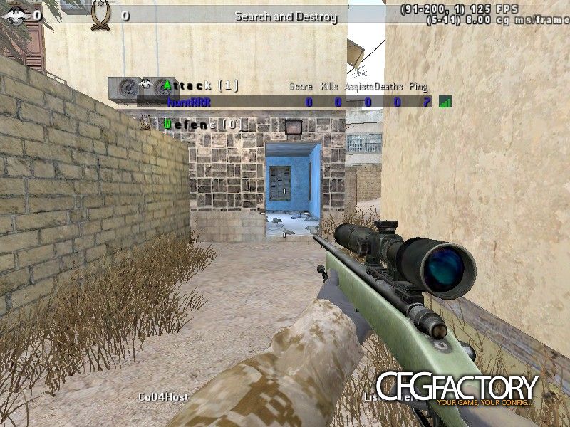 cod4 cfg