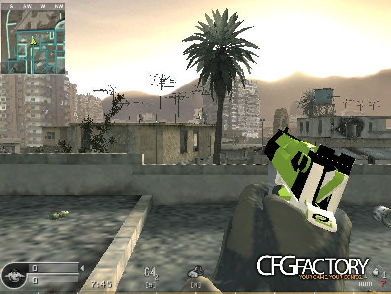 OpTic Gaming's Deagle