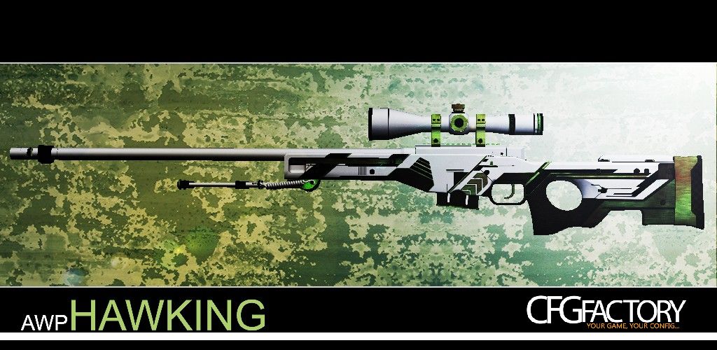 SNIPER AWP_HAWKING