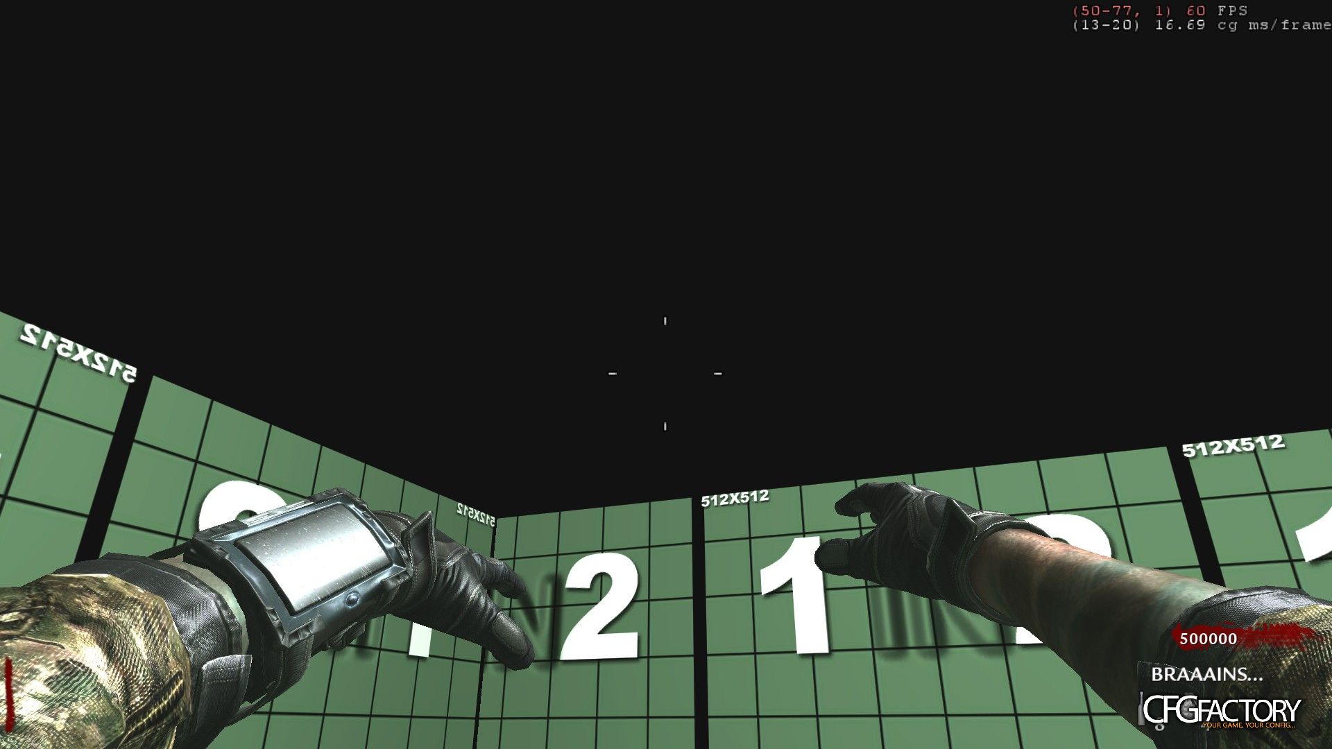 bo2 viewhands