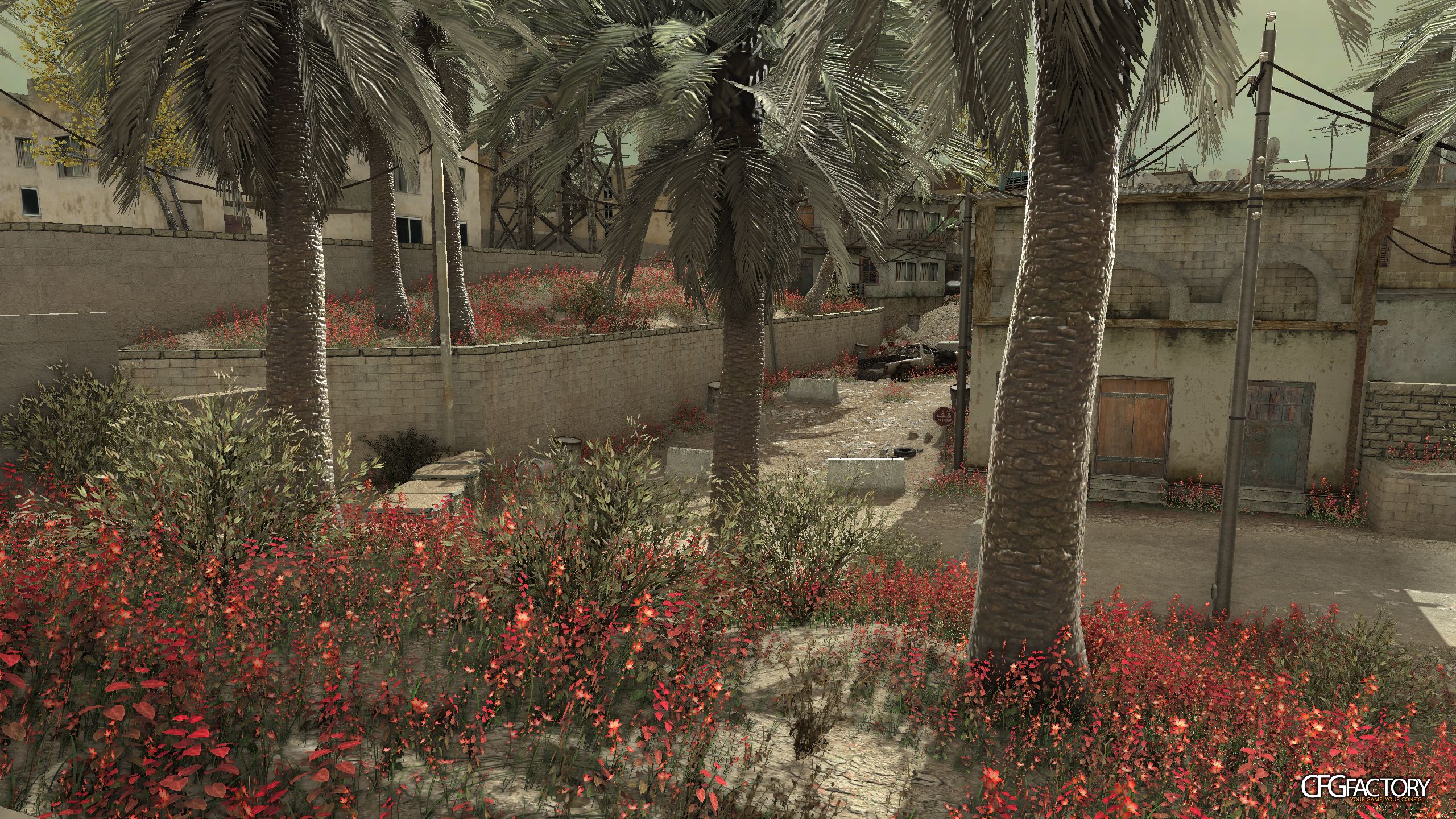Red / Purple grass