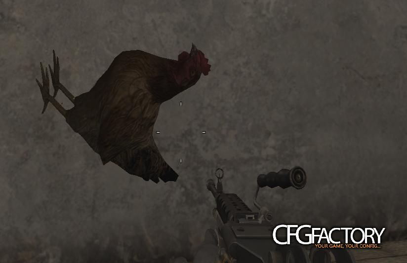 Chicken_PlayerModel