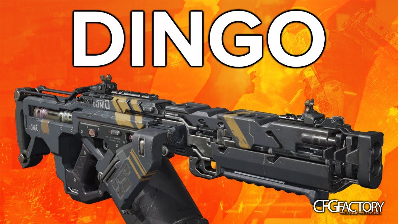 bo3 dingo