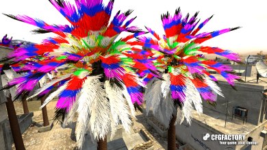Rainbow Palms