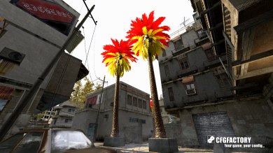 Red/Yellow Palms