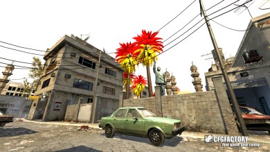 Red/Yellow Palms