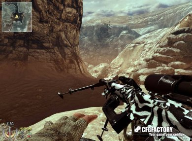 Zebra Camo