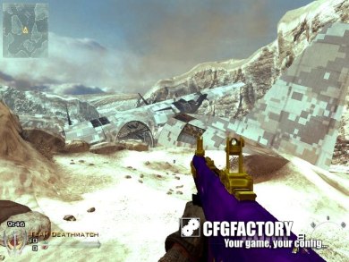 AA-12 Purple/Gold