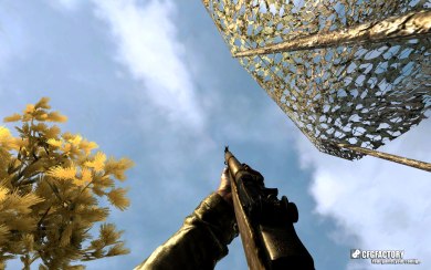 Lightwood Garand