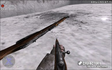 Comanche's Mosin
