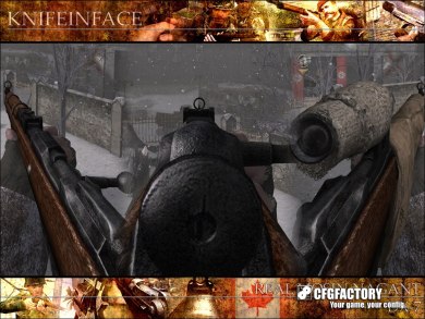 KnifeInFace's Real Mosin