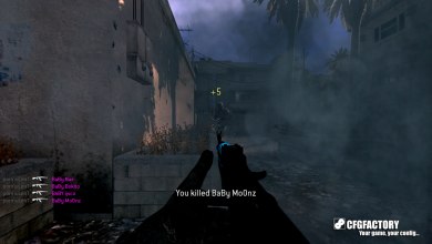 silent's CFG