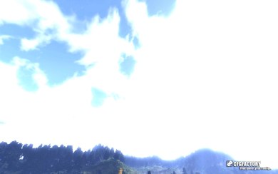 Blue Tree Sky