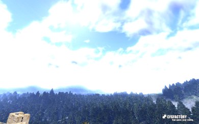 Blue Tree Sky