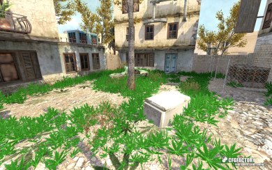 Weed Grass