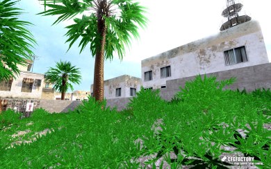 Weed Bush
