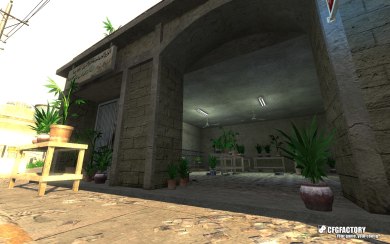Weed Plants
