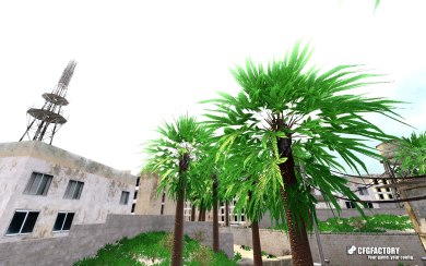 Weed Palm trees Â°2