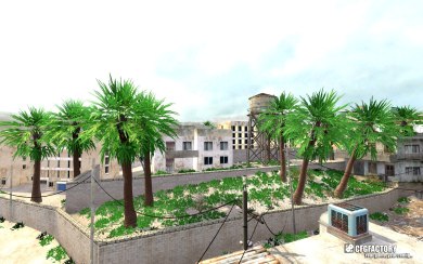 Weed Palm trees Â°2
