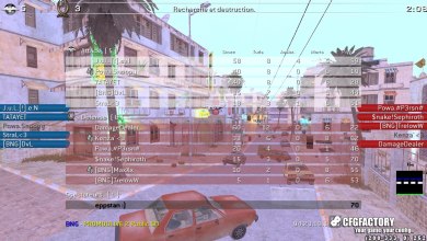 eppsed CFG - 2k11