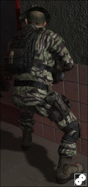 Outcast4576's tiger stripe skin pack