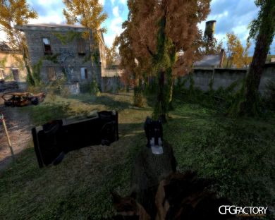 No grass skin