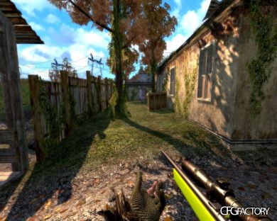 No grass skin