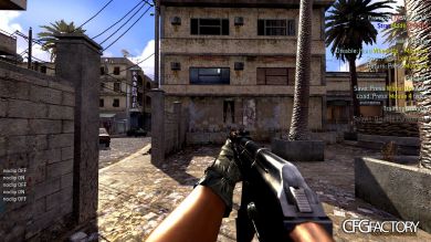 Ryan 9/11 CFG D:
