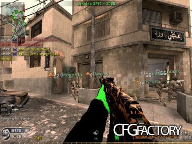 Black ops tiger camo ak47