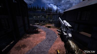 Desert Eagle Two Color's