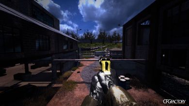 Desert Eagle Two Color's