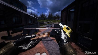 Desert Eagle Two Color's