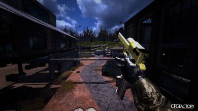 Desert Eagle Two Color's