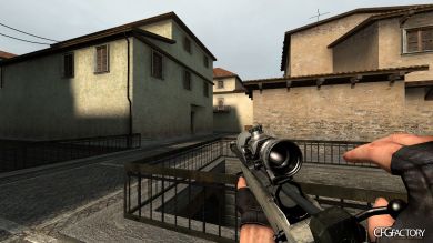 MW3 L118A