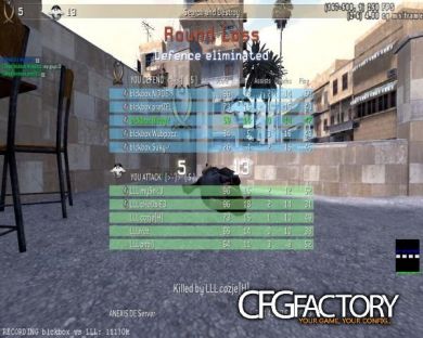 Ptica ingame cfg