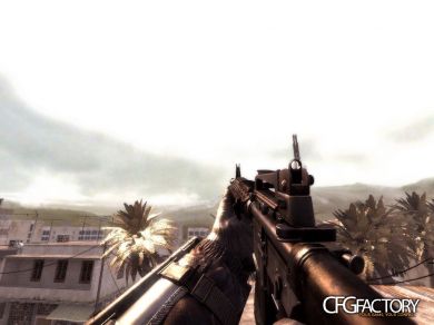 MW2 M16