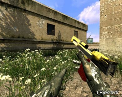 Silve & Gold Deagle