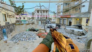 pioneR CFG